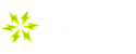 instasino